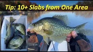 How to Catch More Crappie from One Area? Depth Matters!