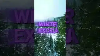WINTER EXCELIA