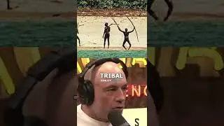 Joe Rogan on Tribal Warfare & the Future