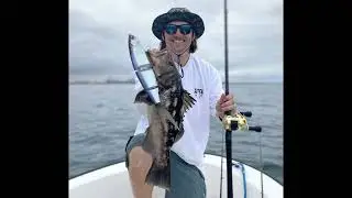 DRT Klash Ghost Calico Bass