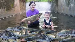 A Day of a Single Mom Catching Stream Fish to Support Her Child - Vi Thi Ha