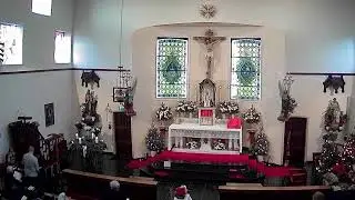 Tweede Kerstdag, H. Stefanus, eerste martelaar ( 2e kl. )