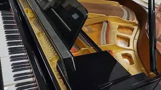 Quality Used Player Grand Piano on sale