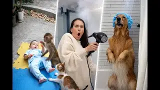 Best Funny Videos of 2025 | Funniest Moments That Made Us Laugh All Year