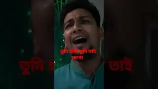 তুমি হাসি তুমি কান্না মা গো