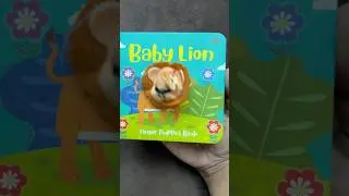 Baby lion finger puppet book