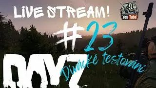 DayZ stream #23 - Shledání + divácké testování
