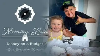 Disney on a Budget | Great Experience with Low Cost at Disney World in Orlando, Florida