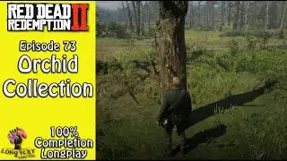 Red Dead Redemption 2: Orchid Collection (Ep. 73)