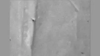 Melting of vortices in the superconductor BSCCO