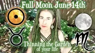 Thinning the Garden of your Life ~ June Full Moon in Sidereal Scorpio & Taurus
