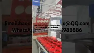Disposable Plastic Takeout Food Packing Container Lunch Box Making Machine