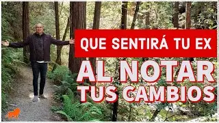 Que sentirá tu Ex al ver tus cambios
