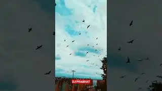 Gateway Of India||Mumbai India /Mumbai city WhatsApp status