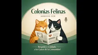 Podcast especial resumen global ARROYO CER 1