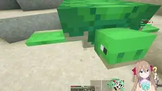 Vedal ✦ becomes a Minecraft turtle