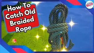 How To Catch Old Braided Rope in Disney Dreamlight Valley