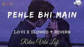 Pehle Bhi Main (Slowed + Reverb) | Animal | Vishal Mishra | Relax Vibe Lofi 