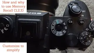 Memory recall | Sony Alpha | Simplify your wildlife and landscape photography workflow