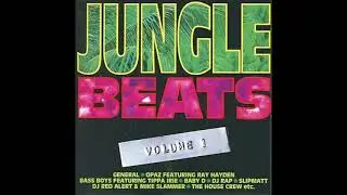 Smokey D - Jack To The Beat