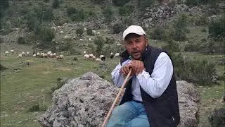 Kayseri / Hacılar / Sakarciftligi / Ömer Ciftlikci / Türkmen