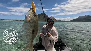 Light Tackle in the lagoon