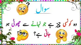 Best informative paheliyan in urdu | Q&A and Sawal Jawab | MD Quiz General Knowledge