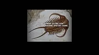 The Great Dying (End-Permian Extinction)#MassExtinction #EarthHistory