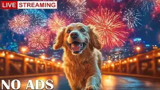 Relaxing Calm Music to Help Dog and Puppy anxiety from Fireworks, Bangs and Loud Noises✨