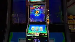 High Limit Catch the big one bonus!