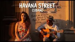 Café Cubano Playlist 🎺: Havana Brass Romance & Jazz Echoes • vol48