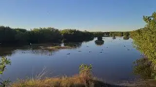 Ten Thousand Islands National Wildlife Refuge, Florida