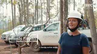 V&iacute;deocase Energold