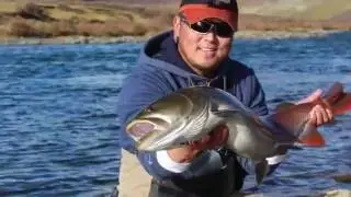 Fishing trip northern Mongolia. 2015