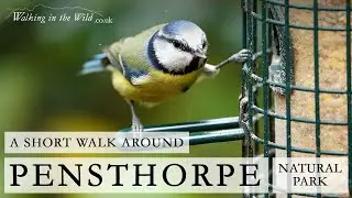Norfolk Walks: Pensthorpe Natural Park