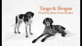 Tango & Shogun Escape the Shelter! Freedom Awaits After 4th of July