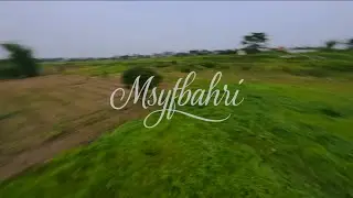 A Lonely Tree 🌳 | FPV Drone Freestyle