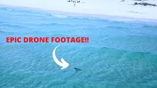 Land Based Shark Fishing- Navarre Florida- (Success)