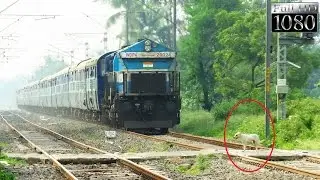 Tiny Dog Teasing Monster EMD and Escape| Furious Udyan Express Dust Storm