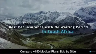 Best Pet Insurance with No Waiting Period in South Africa