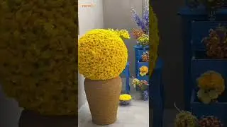 Fiestro Exquisite Haldi Ceremony Decor at Fairmont Jaipur Features a Beautifully Designed Pathway