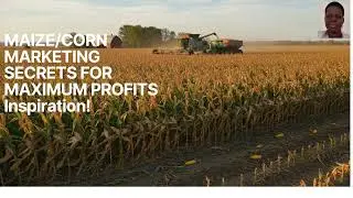 MAIZE CORN MARKETING SECRETS FOR MAXIMUM PROFITS INSPIRATION!: Tutorial: Florence Alimo: Living Hope