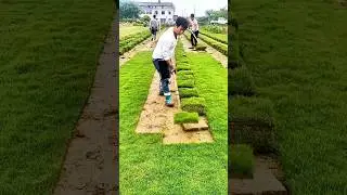 Block turf stacking tip: Stack in layers to boost airflow and save space
