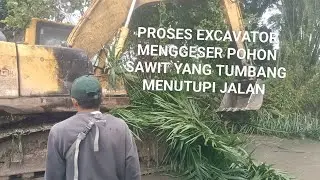 Proses Excavator Menggeser Pohon Sawit Yang Tumbang Menutupi jalan#proses#excavator#mengeser#pohon 
