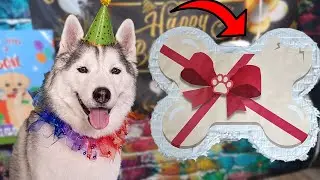Celebrating Your Dog's Birthday with a Dog Bone Pinata