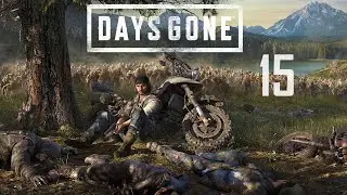 15 - DAYS GONE ( PS4 kiad&aacute;s ) / PS5 pro / 4K