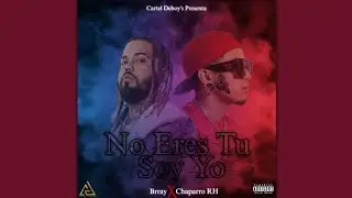 No Eres Tu Soy Yo(Feat. Brray)