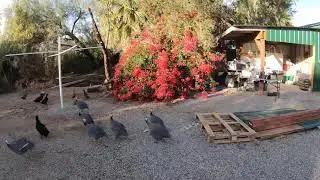 Eldorado Hot Springs Arizona