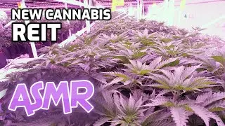 ASMR | New Cannabis REIT | Stocks