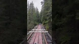 Rail Bikes on The Noyo River in Mendocino, California